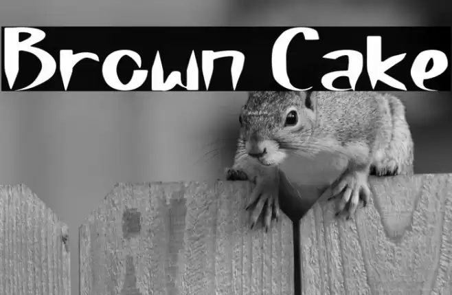 Brown Cake Font examples