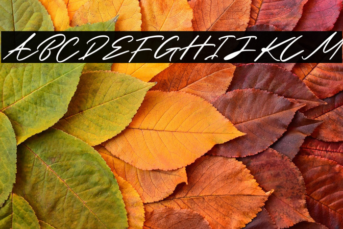 Brown Carlson Example 3