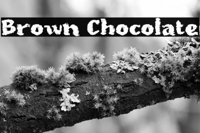 Brown Chocolate Font examples