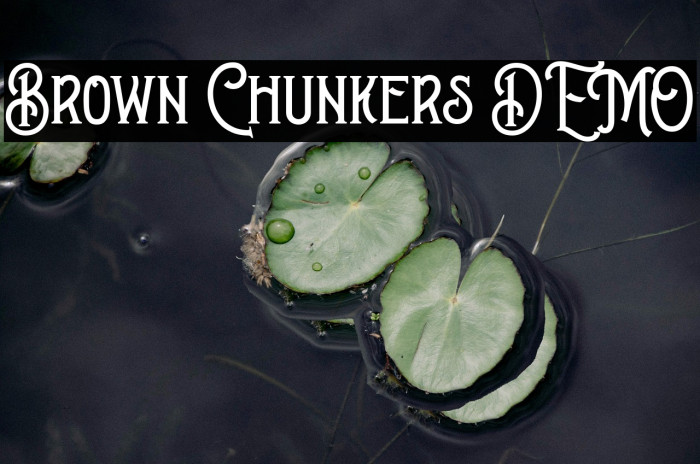 Brown Chunkers DEMO Example 2