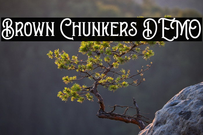 Brown Chunkers DEMO Example 3