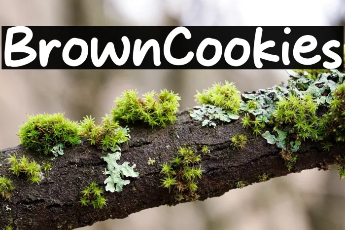 Brown Cookies Example 2