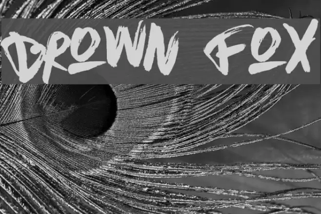 Brown Fox Font examples