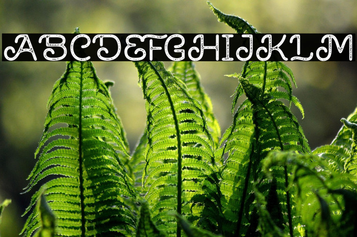 Brown House Stamp Example 2