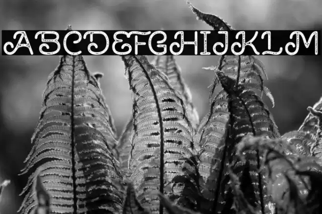 Brown House Stamp Font examples