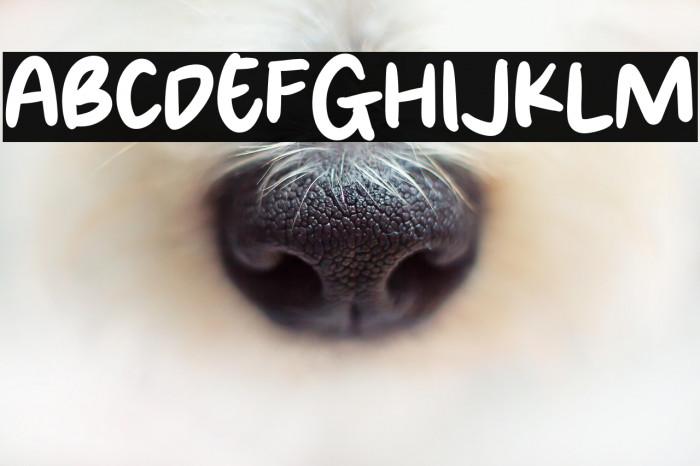 Brown Paper Example 1