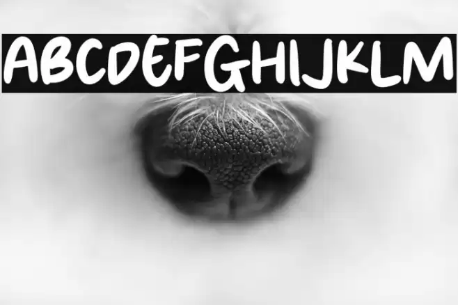 Brown Paper Font examples