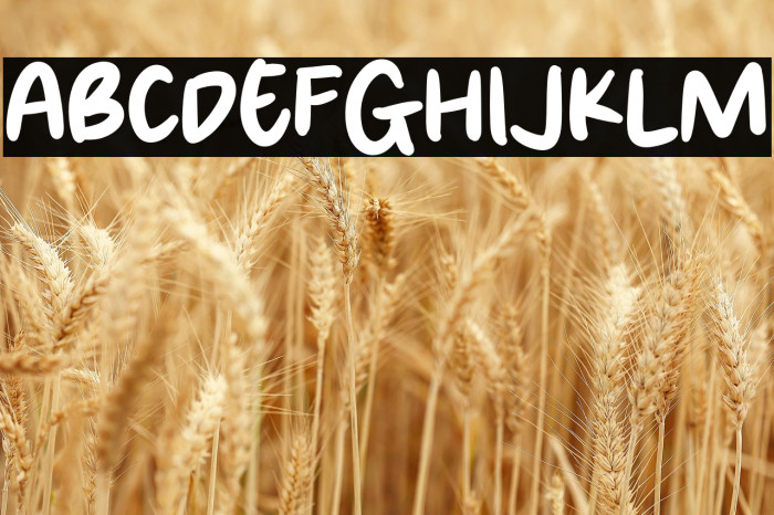 Brown Paper Example 3