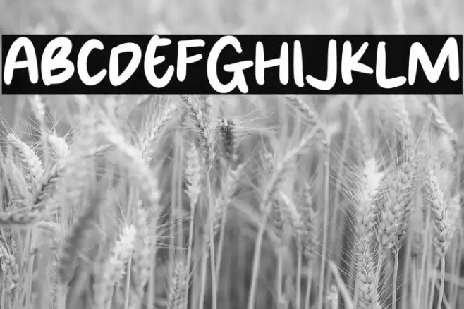 Brown Paper Font examples