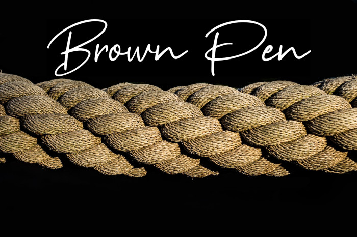 Brown Pen Example 1