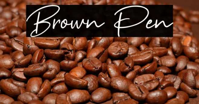 Brown Pen Example 2