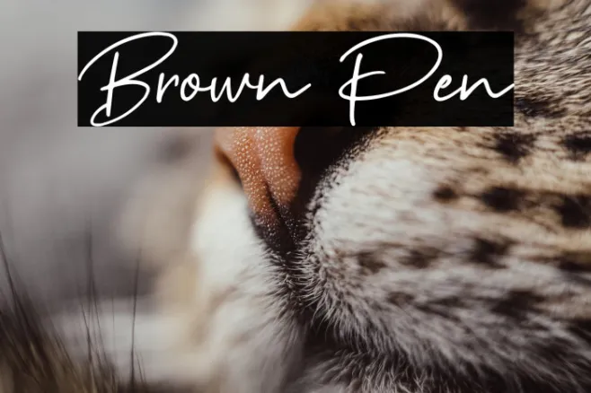 Brown Pen Example 3