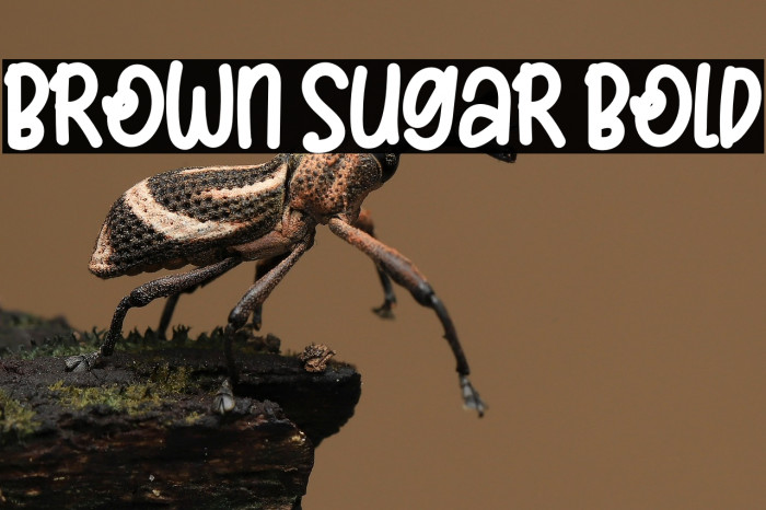 Brown Sugar Bold Example 2