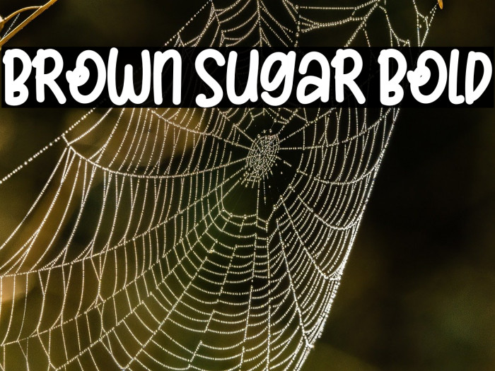 Brown Sugar Bold Example 3