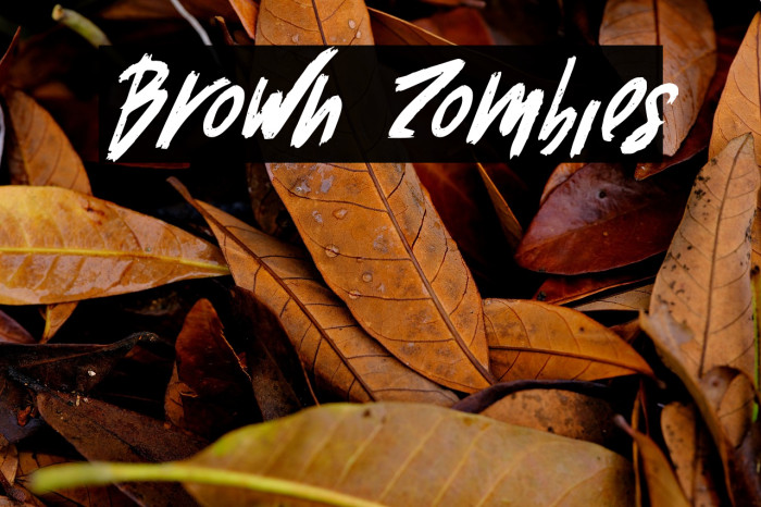 Brown Zombies Example 2