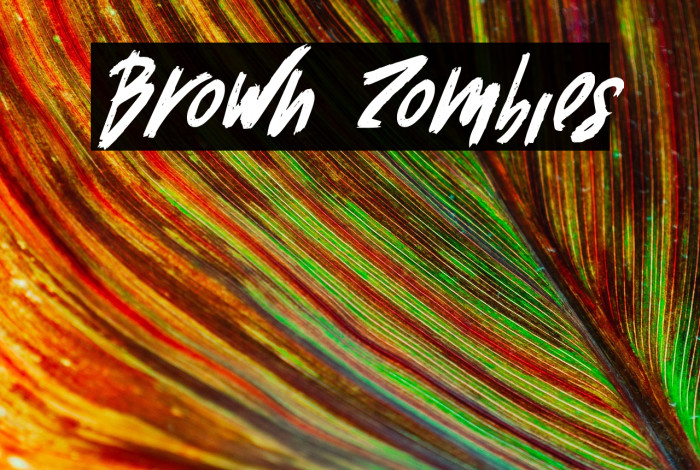 Brown Zombies Example 3