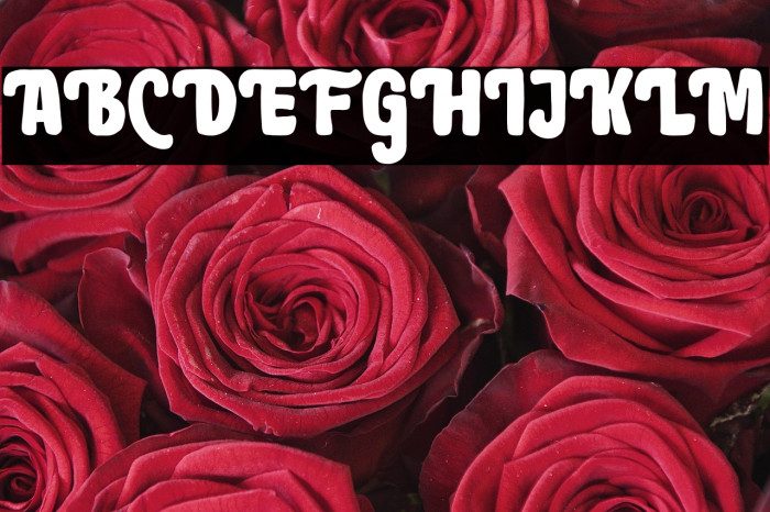 BrownHolmesDEMO Example 1