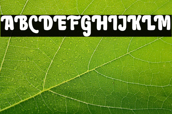 BrownHolmesDEMO Example 2