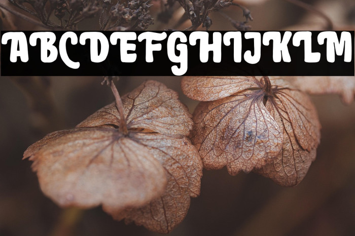 BrownHolmesDEMO Example 3