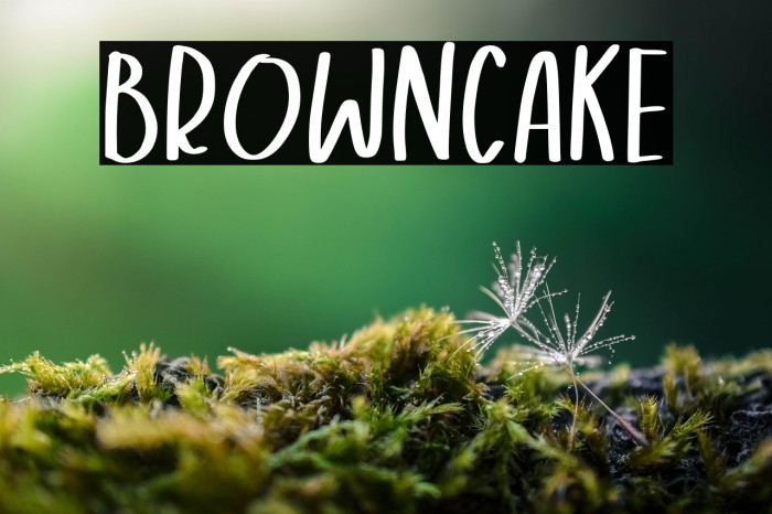 Browncake Example 2