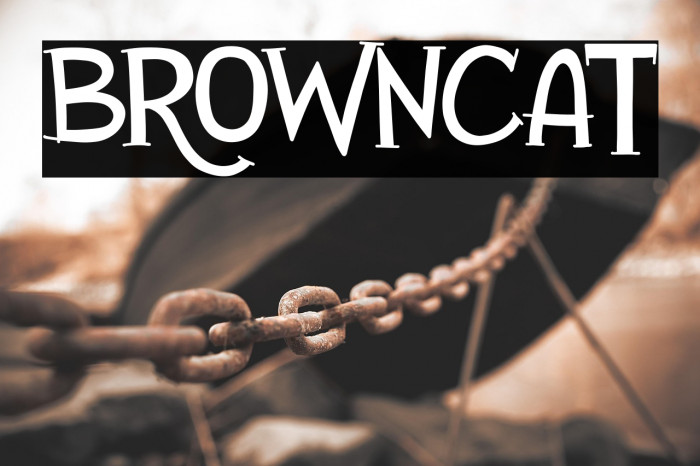 Browncat Example 2