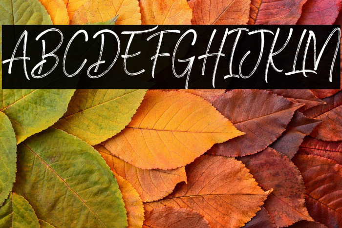 Brownhill Script Example 1