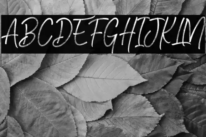 Brownhill Script Font examples