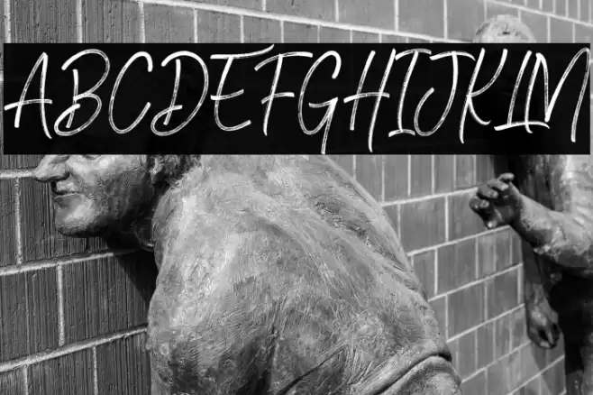 Brownhill Script Font examples