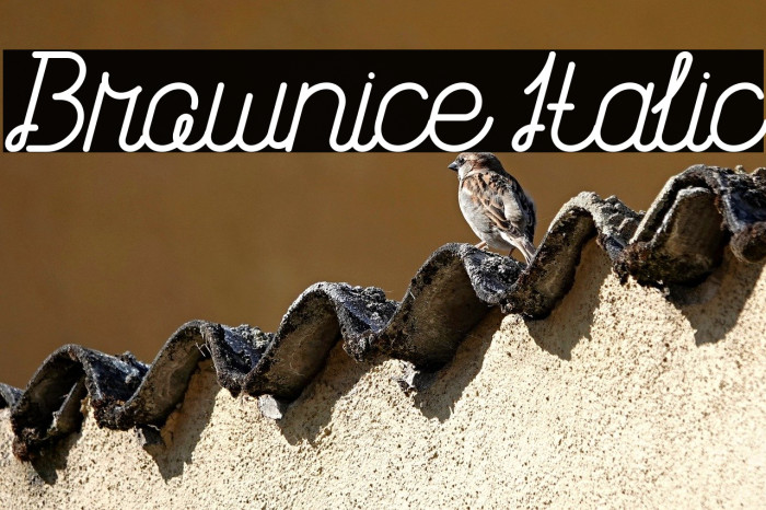 Brownice Italic Example 1