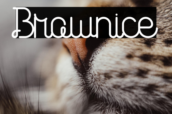 Brownice Example 2
