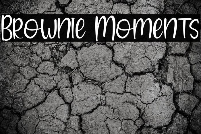 Brownie Moments Example 3