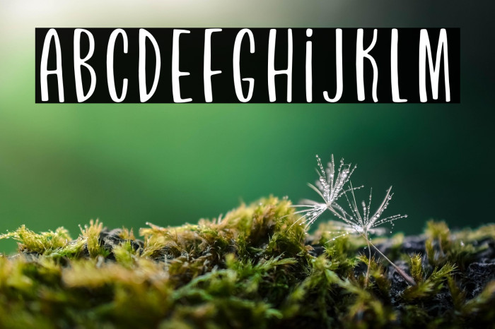 BrownieSundae Example 1