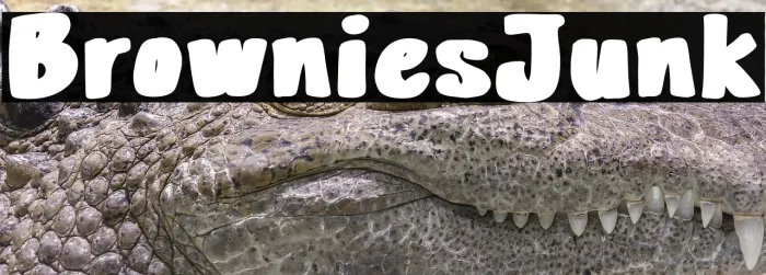 Brownies Junk Example 1