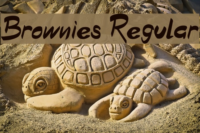 Brownies Regular Polices examples