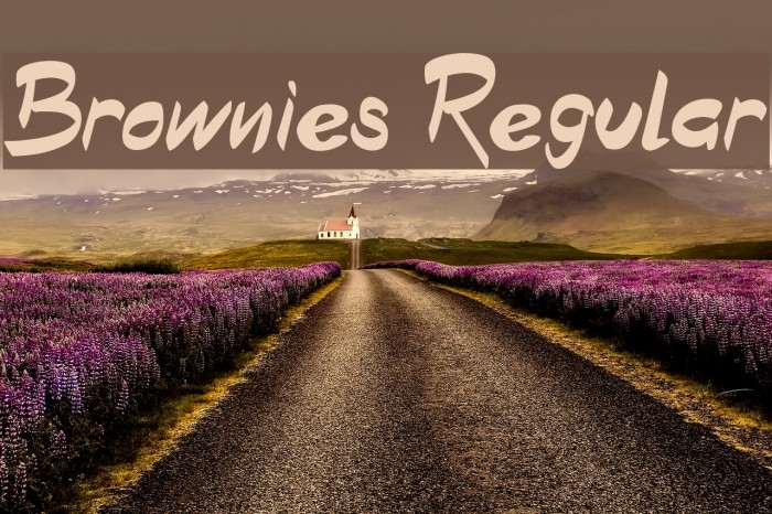 Brownies Regular Polices examples