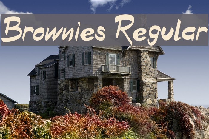 Brownies Regular Polices examples