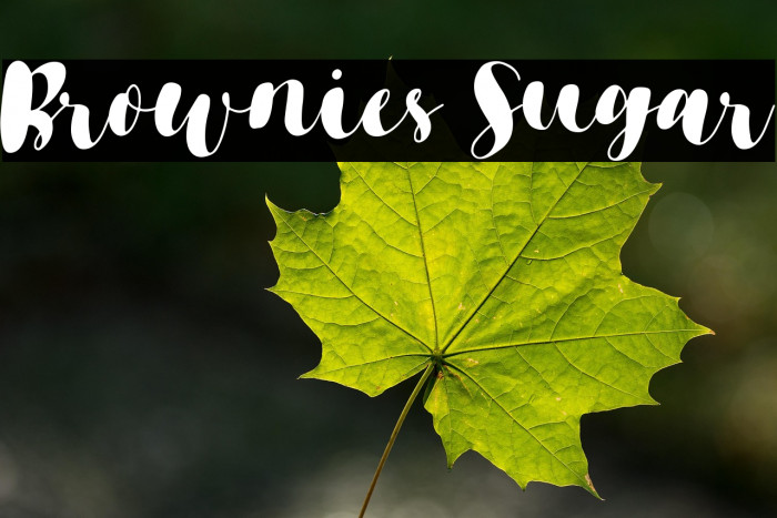 Brownies Sugar Example 3