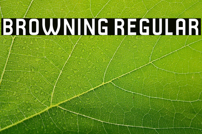 Browning Regular Example 2