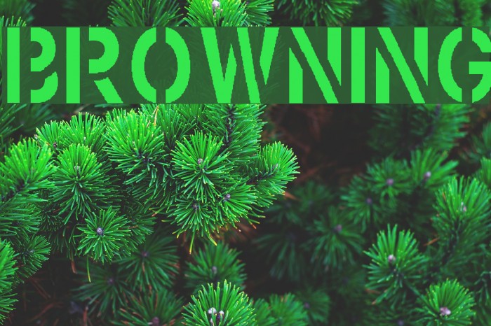 Browning フォント examples
