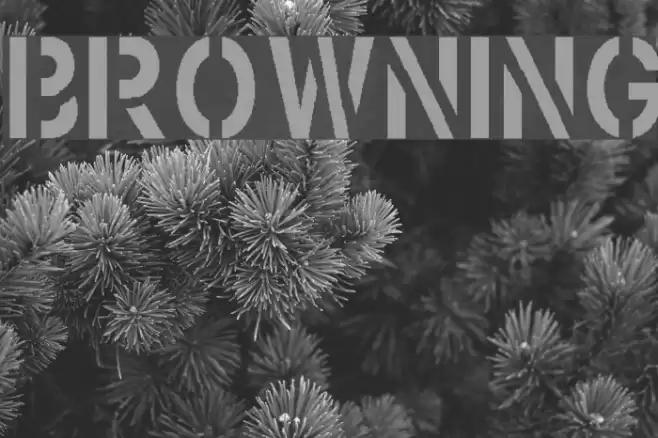 Browning Font examples