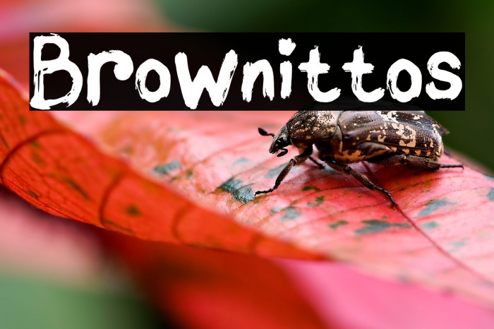 Brownittos Example 3