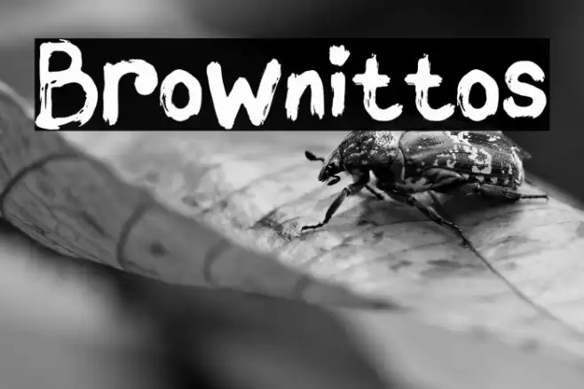 Brownittos Font examples