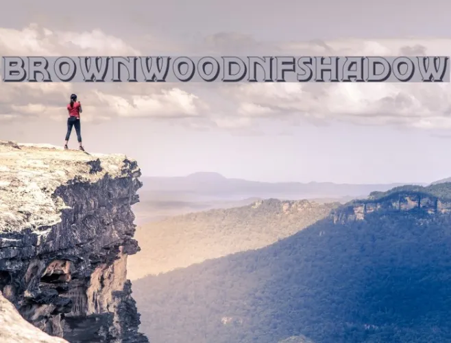 BrownwoodNFShadow Example 3