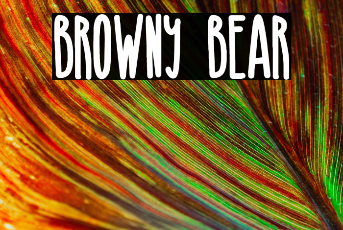 Browny Bear Example 3