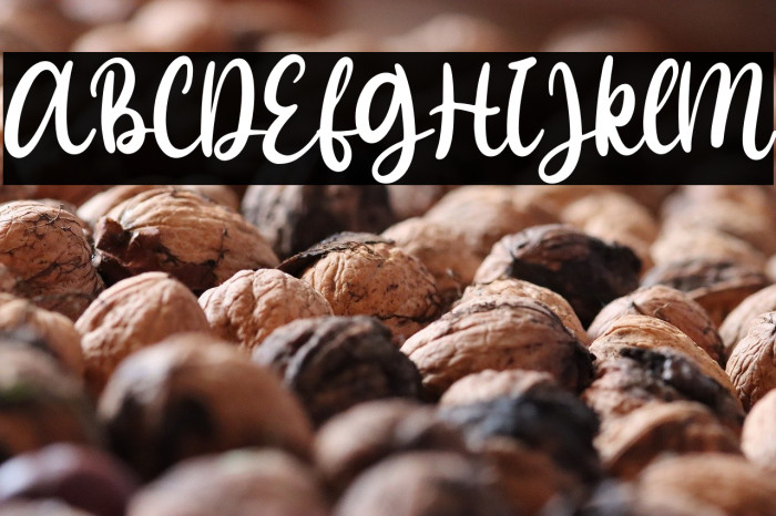 Browny Joy - Personal Use Example 2