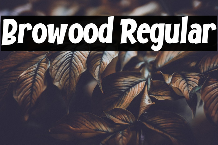 Browood Regular Example 2