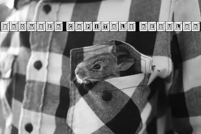 Browser Capitals Regular Font examples