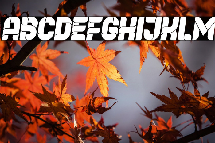 Browser Italic Example 1