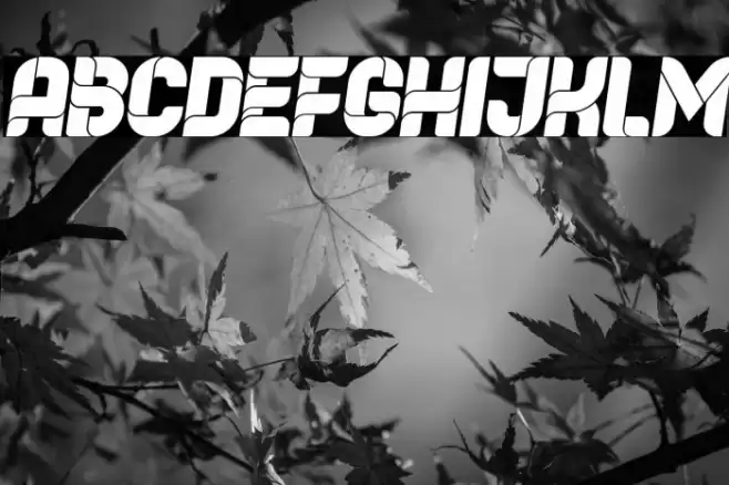 Browser Italic Font examples