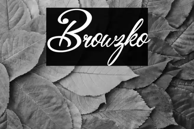 Browzko Font examples
